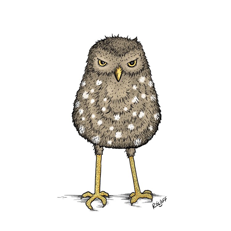 Grumpy owl illustration by Sheri Roloff